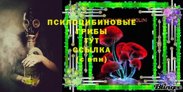 винт Алзамай